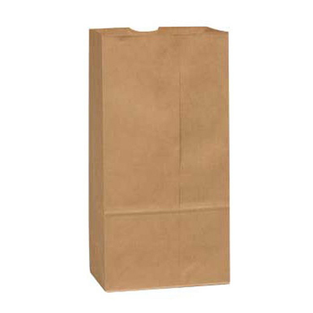 Grocery Paper Bags